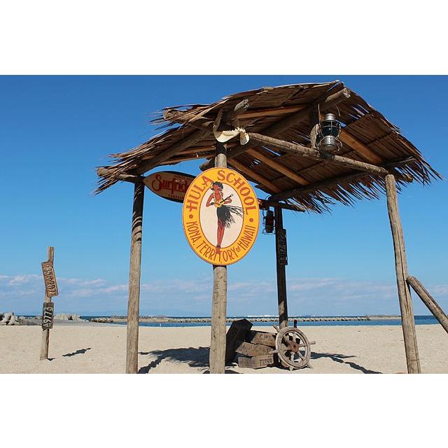 フラスクール　木製看板　■ アメリカン雑貨 アメリカ雑貨 ハワイアン雑貨 ハワイグッズ 人気 |  | 05