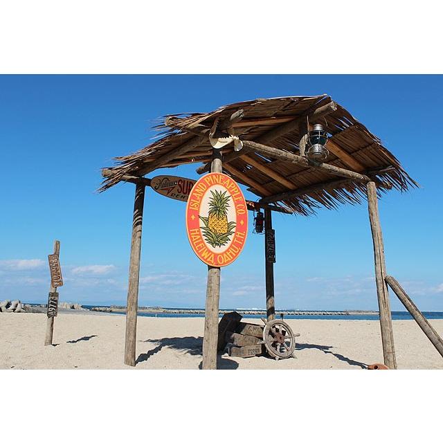 アイランドパイナップルカンパニー 木製看板 □ アメリカン雑貨