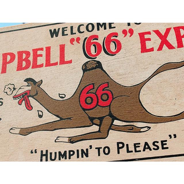 ルート66ロードサイドショップ　ウッドサイン　（キャメルエキスプレス）　アメリカ雑貨　アメリカン雑貨 爆買 |  | 04