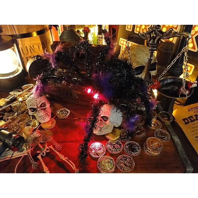 フラッシュアイ　スパイダー　（LEDライト点灯） | 