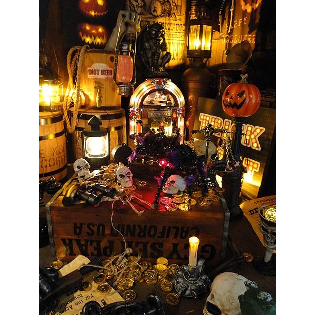 フラッシュアイ　スパイダー　（LEDライト点灯） |  | 03