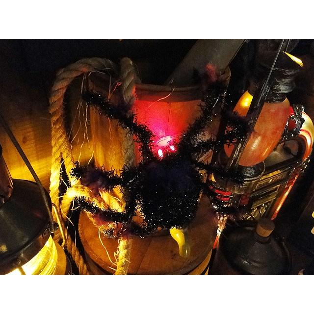 フラッシュアイ　スパイダー　（LEDライト点灯） |  | 05