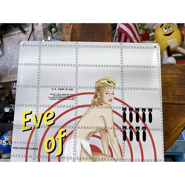ピンナップガール　ミリタリーアート　ブリキ看板　（Eve of Destruction　明日なき世界）　■ アメリカン雑貨 アメリカ雑貨 |  | 01