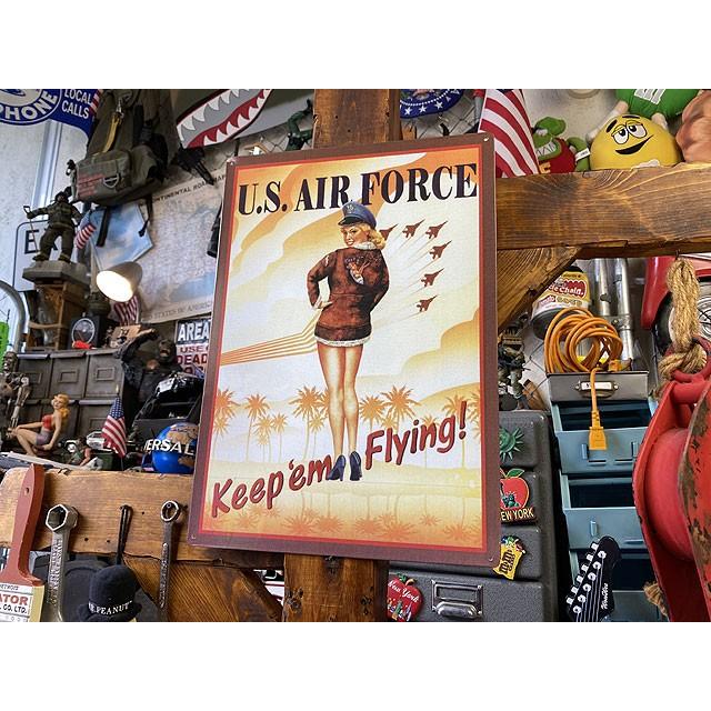 U.S.エアフォースガール　ブリキ看板 ■ アメリカン雑貨 アメリカ雑貨 |  | 06