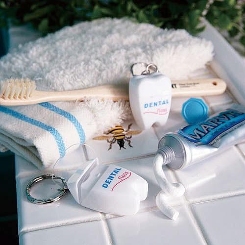 ダルトン デンタルフロス ■ アメリカン雑貨 アメリカ雑貨 糸ようじ | DULTON