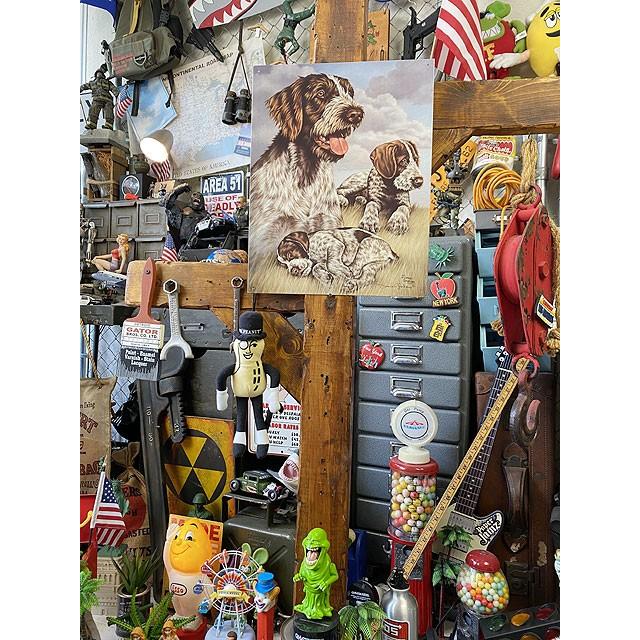 ハンティング犬　ブリキ看板　（ワイルドシング）　■　アメリカン雑貨　アメリカ雑貨 |  | 03