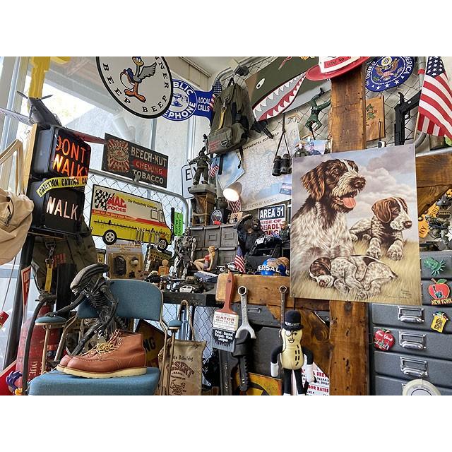 ハンティング犬　ブリキ看板　（ワイルドシング）　■　アメリカン雑貨　アメリカ雑貨 |  | 04