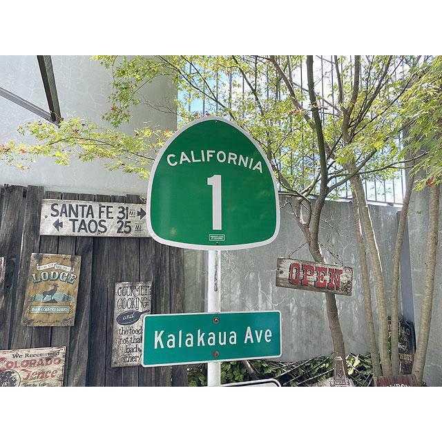 沸騰ブラドン アメリカン トラフィックサイン カリフォルニア1