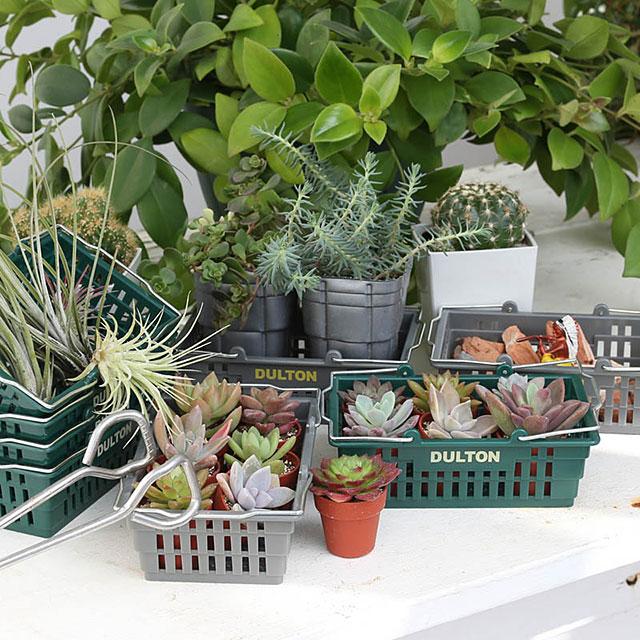 ダルトン　デスクトップバスケット ■ アメリカン雑貨 アメリカ雑貨 | DULTON | 03