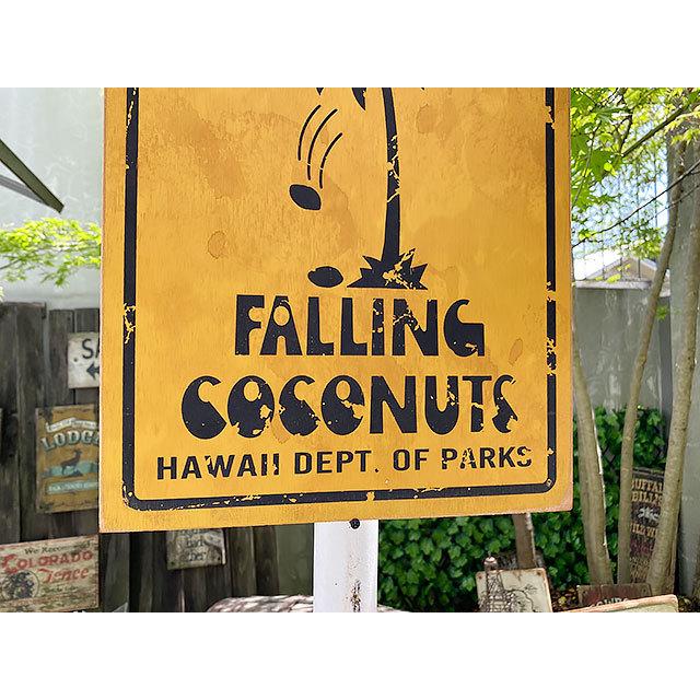 フォーリンココナッツ　ロードサイン フォーリンココナッツ ロードサイン - メルカリ