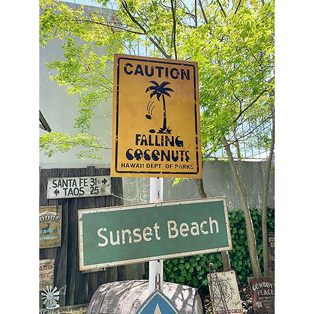 ハワイの道路標識 ウッドサイン （ココナッツ落下注意