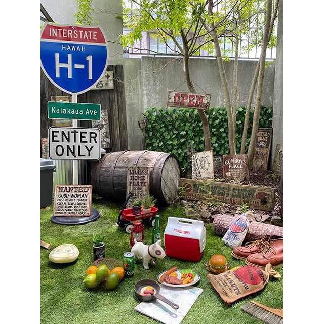 イグルー　プレイメイト　ミニ　（レッド）　■ アメリカ雑貨 アメリカン雑貨　クーラーボックス |  | 06