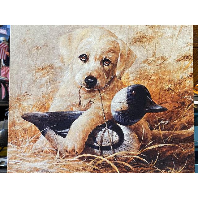 ゴールデンレトリバー　ブリキ看板　（リアーブロス・アウトフィッター）　■　アメリカン雑貨　アメリカ雑貨 |  | 01