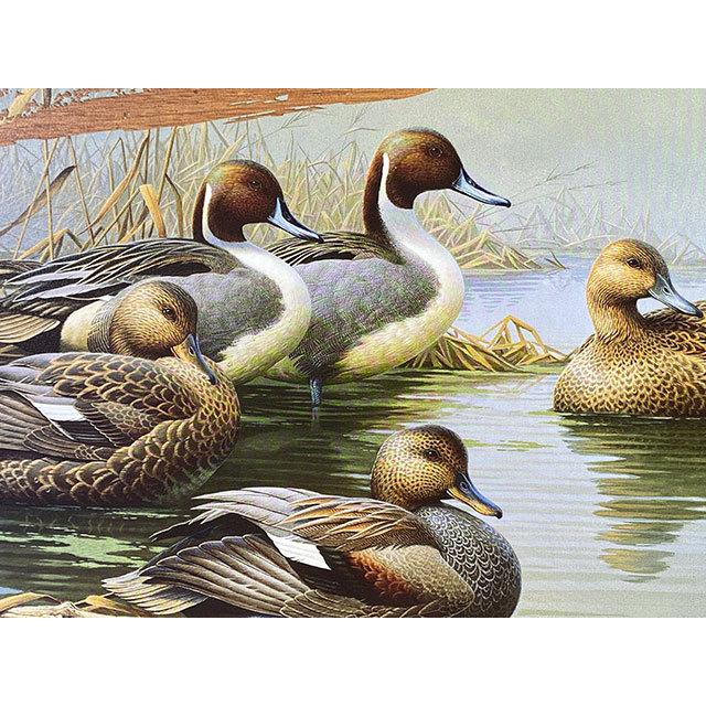 ダックスアンリミテッド　ブリキ看板　（Morning Most）　■　アメリカン雑貨　アメリカ雑貨 |  | 01