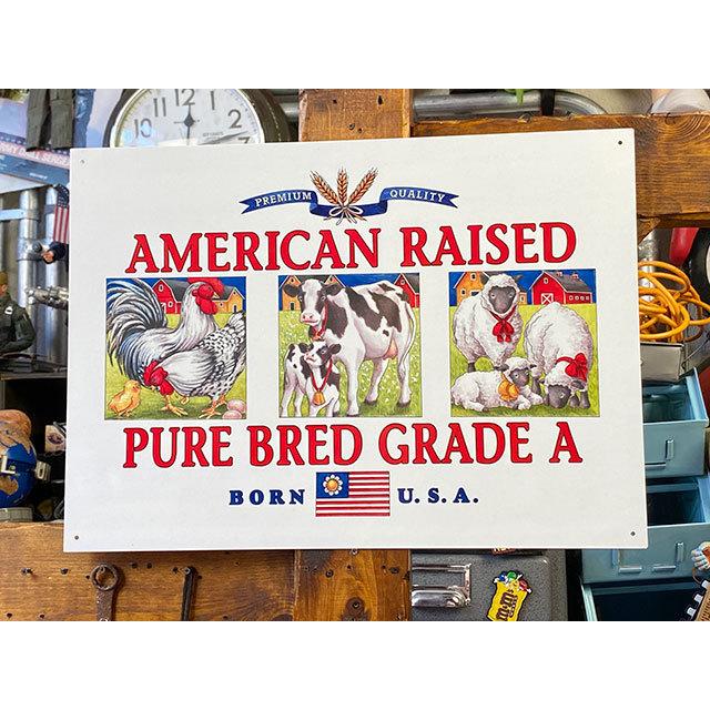 アメリカンレイズド　ブリキ看板 ■ アメリカン雑貨 アメリカ雑貨 | 