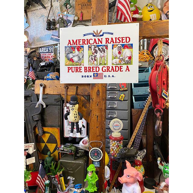 アメリカンレイズド　ブリキ看板 ■ アメリカン雑貨 アメリカ雑貨 |  | 01