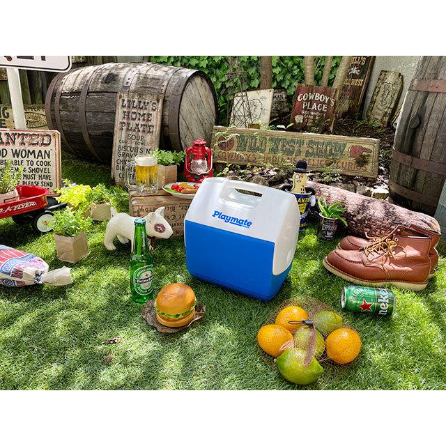 イグルー　プレイメイト　パル　6L　（ブルー）　■ アメリカ雑貨 アメリカン雑貨　クーラーBOX |  | 05