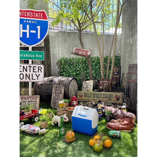 イグルー　プレイメイト　パル　6L　（ブルー）　■ アメリカ雑貨 アメリカン雑貨　クーラーBOX |  | 06