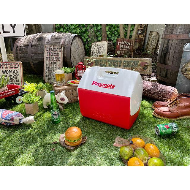 イグルー　プレイメイト　エリート　15L　（レッド）　■ アメリカ雑貨 アメリカン雑貨　クーラーBOX |  | 06