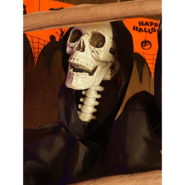 ハシゴを登るガイコツ ハンギングディスプレイ □ パーティー ハシゴを登るガイコツ ハンギングディスプレイ □ パーティー
