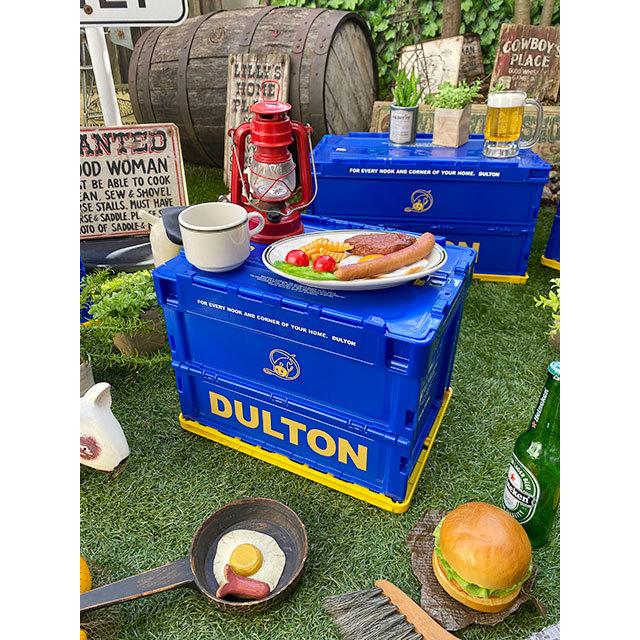 DULTON（ダルトン） フォールディングコンテナ 20L Sサイズ 単品