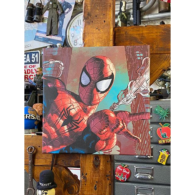 マーベルコミック スパイダーマン キャンバスアート （ウェブスリング
