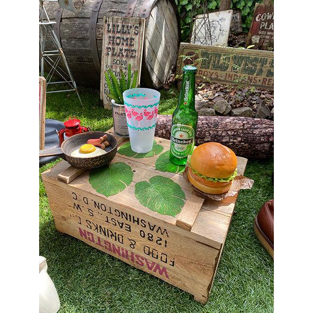 モンステラ　スケルトンリーフ　コースター　4枚セット ■ アメリカン雑貨 アメリカ雑貨 |  | 05