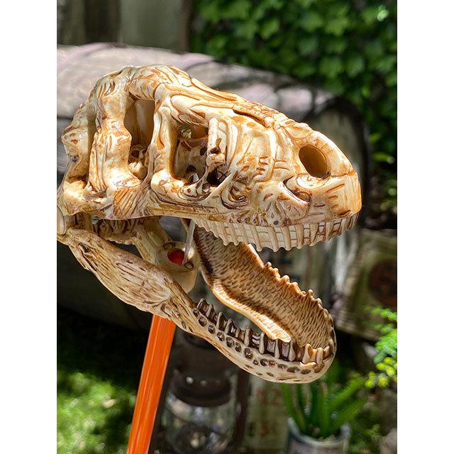 パクパクダイナソー　Tレックススカルスナッパー ■ アメリカン雑貨 アメリカ雑貨 |  | 01