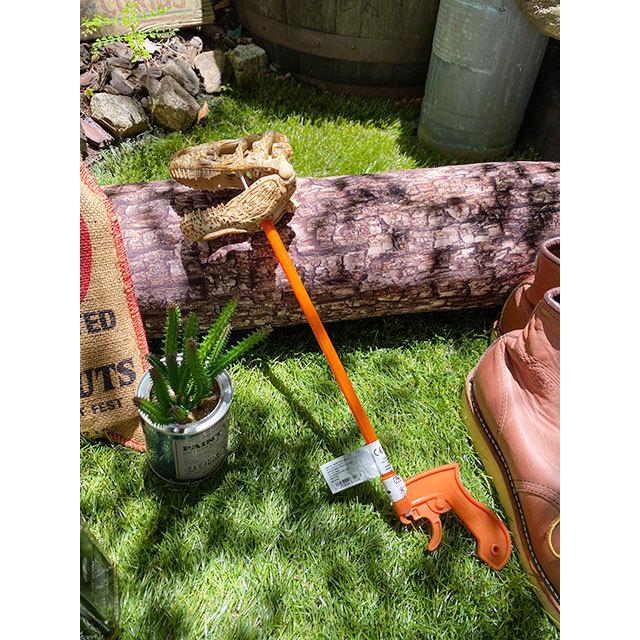 パクパクダイナソー　Tレックススカルスナッパー ■ アメリカン雑貨 アメリカ雑貨 |  | 05