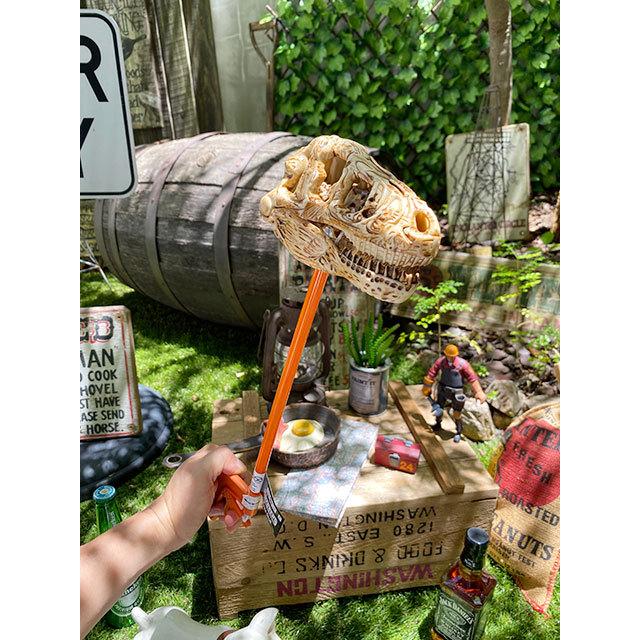 パクパクダイナソー　Tレックススカルスナッパー ■ アメリカン雑貨 アメリカ雑貨 |  | 07