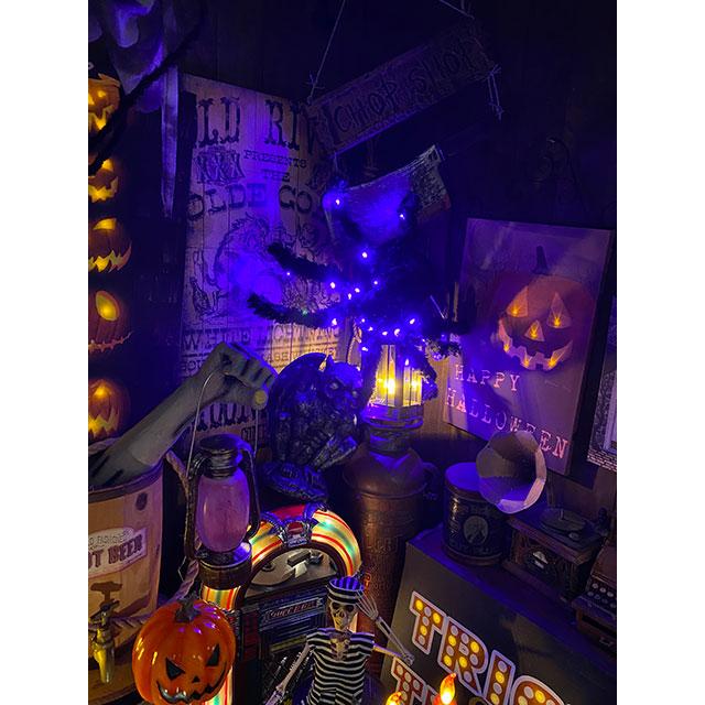 LED球で光る！巨大ホラースパイダー　全長55cm ■ パーティー 飾り アメリカ雑貨 ハロウィン | 