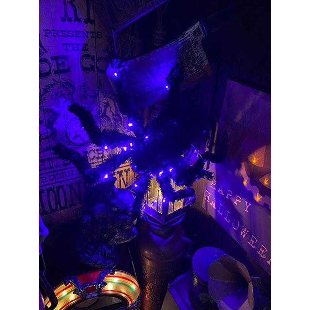 LED球で光る！巨大ホラースパイダー　全長55cm ■ パーティー 飾り アメリカ雑貨 ハロウィン |  | 01