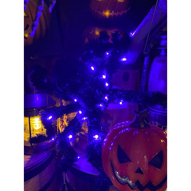 LED球で光る！巨大ホラースパイダー　全長55cm ■ パーティー 飾り アメリカ雑貨 ハロウィン |  | 02