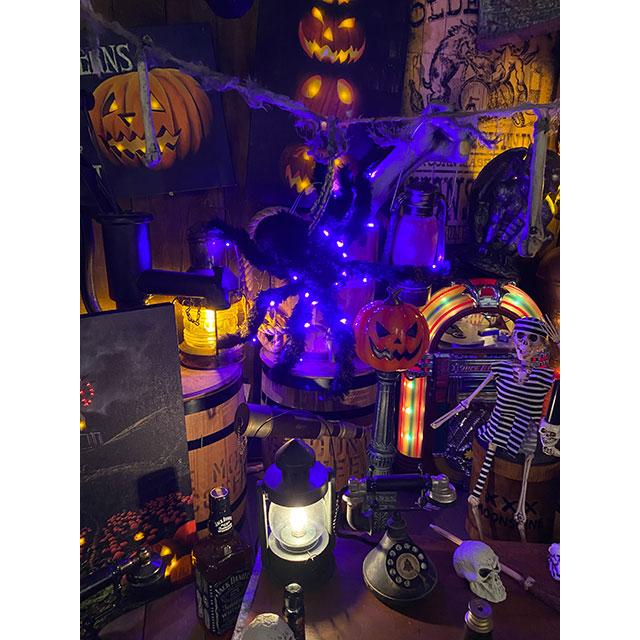 LED球で光る！巨大ホラースパイダー　全長55cm ■ パーティー 飾り アメリカ雑貨 ハロウィン |  | 04