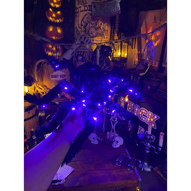 LED球で光る！巨大ホラースパイダー　全長55cm ■ パーティー 飾り アメリカ雑貨 ハロウィン |  | 08