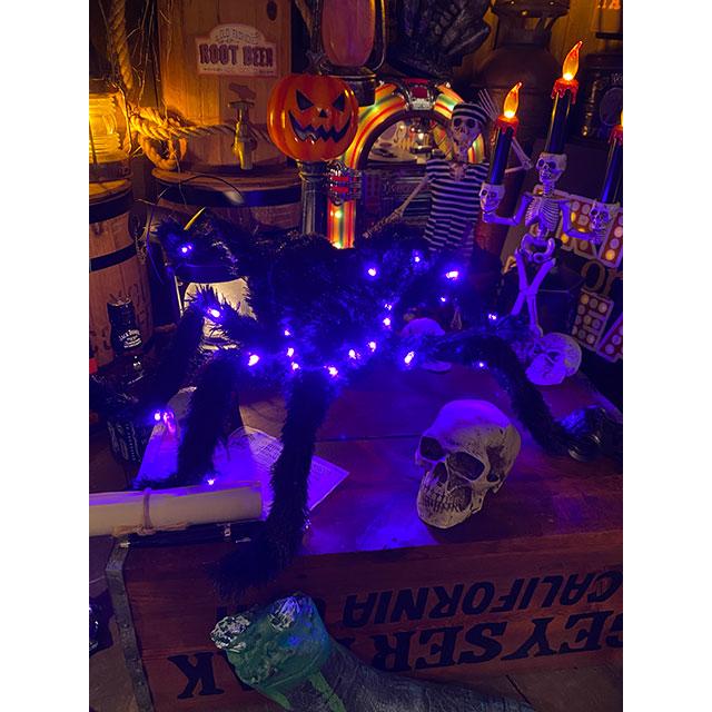 LED球で光る！巨大ホラースパイダー　全長55cm ■ パーティー 飾り アメリカ雑貨 ハロウィン |  | 09