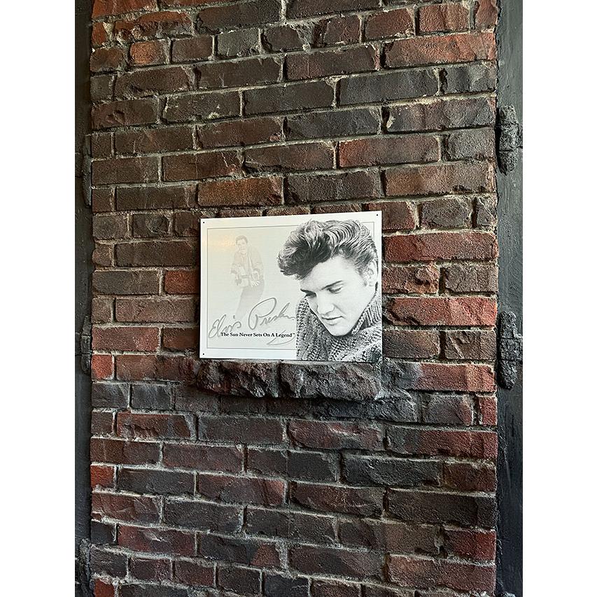 エルビス・プレスリー　Sun Never Sets　ブリキ看板　■ アメリカ雑貨 アメリカン雑貨 |  | 04