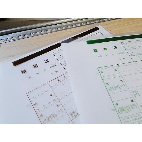 婚姻届と離婚届のクリアファイル 婚姻届と離婚届のバツイチセット