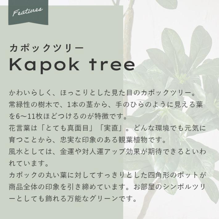 フェイクグリーン 大型 観葉植物 人工観葉植物 おしゃれ 室内 フェイクグリーン 大型 観葉植物 人工観葉植物 おしゃれ 室内