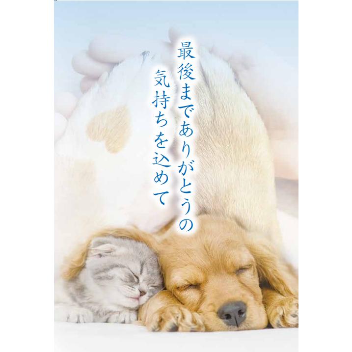販売直販 「またね」ボックス　輪空（りんく）　小サイズ　ペット用豪華な棺　強化段ボール　特殊印刷　犬猫　棺　メモリアル