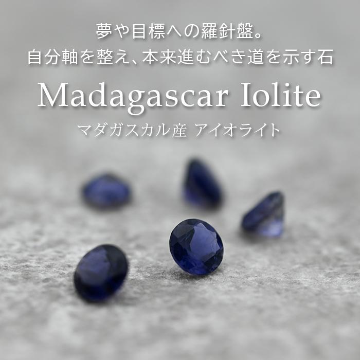 ピアス 金属アレルギー対応 アイオライト 5mm サージカルステンレス