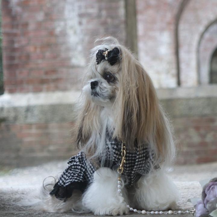 CanNana 犬 服 犬の服 冬服 秋冬 千鳥格子エレガントワンピース