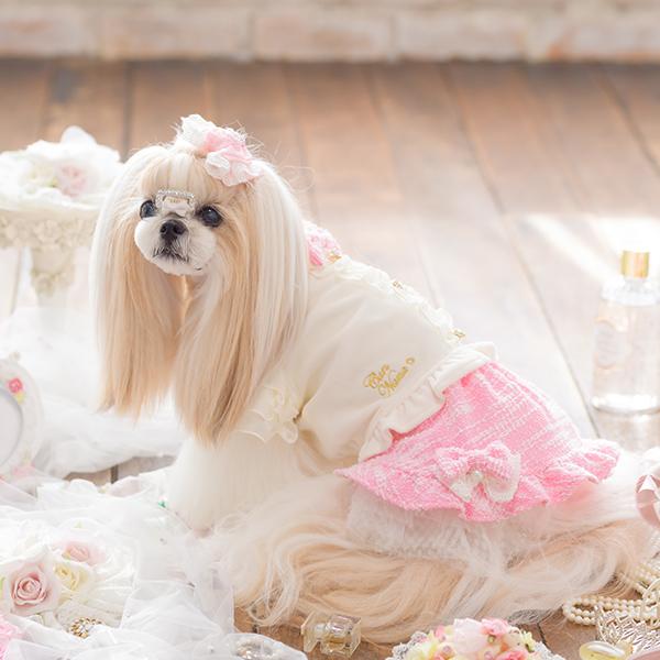 スター☆ チュニック　　ワンピース　　犬服　ハンドメイド　　∞TuTu∞ CanNana きゃんナナ 犬服 ドレス ワンピース 不思議の国のアリス