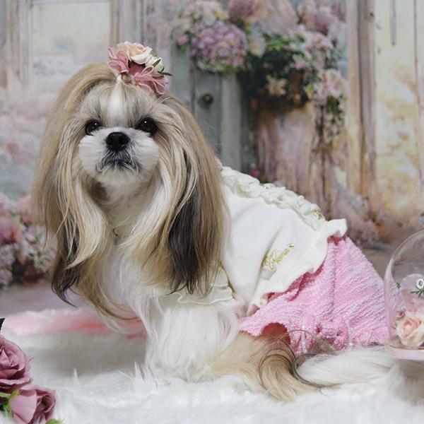 CanNana 犬 服 犬の服 冬 冬服 フリルトップス×ツイードドッキング