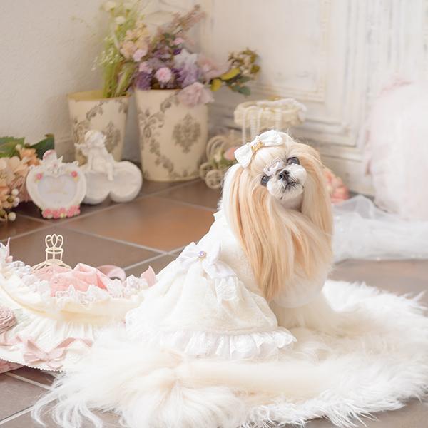 CanNana 犬 服 犬の服 犬服アウター 冬服 ボリューム衿のファー