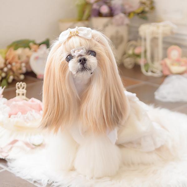 CanNana 犬 服 犬の服 犬服アウター 冬服 ボリューム衿のファー