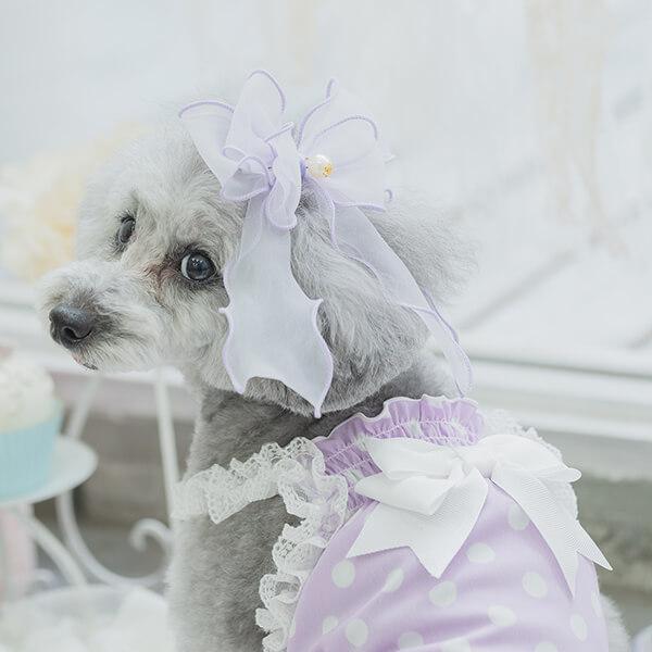 きゃんナナ 犬服 おまとめ きゃんナナオンラインショップ - ワンピース｜Yahoo!ショッピング