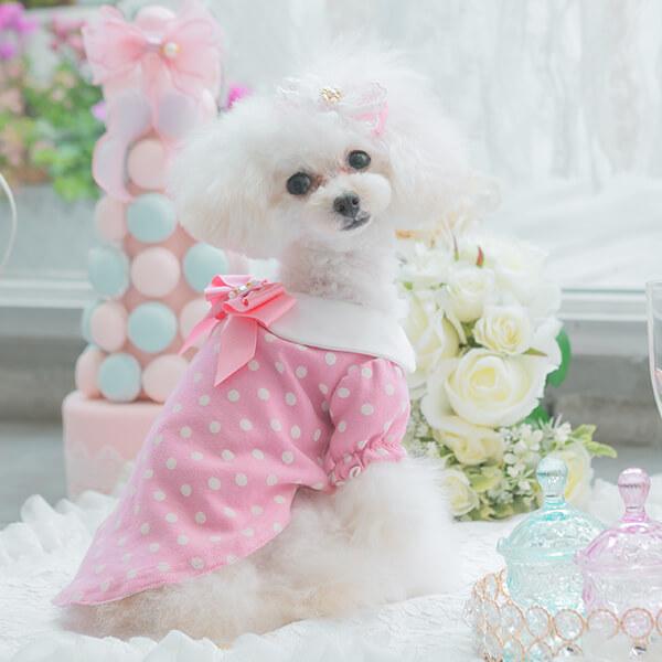 CanNana 犬 服 犬の服 春夏 ドット柄白襟カットソー ハートビジュー