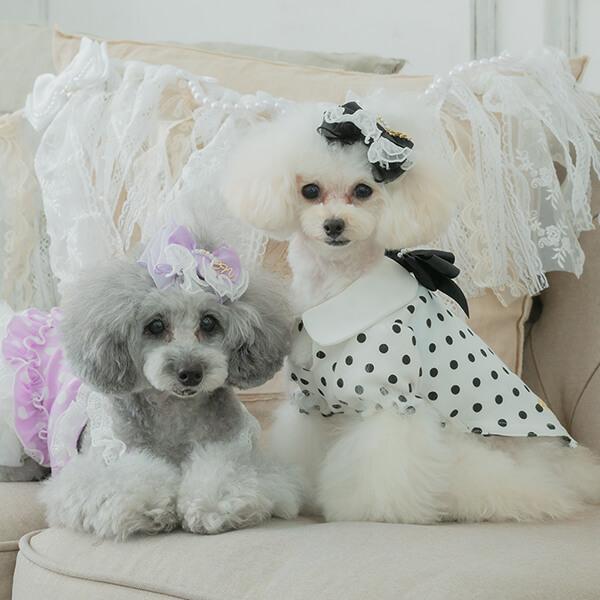 CanNana 犬 服 犬の服 春夏 ドット柄白襟カットソー ハート