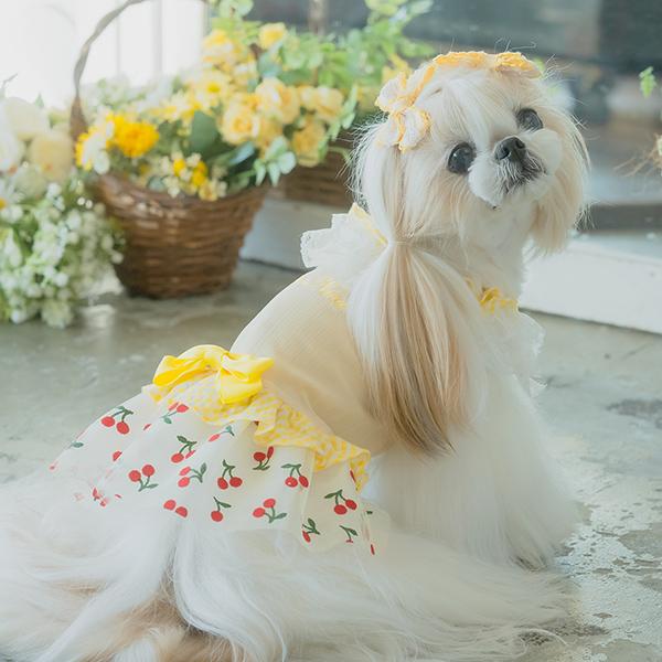 大きなリボンギンガム∞TuTu∞ 犬服ハンドメイド